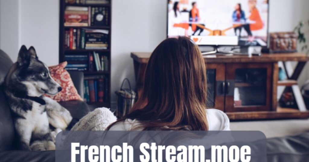 How Does French Stream.moe Cater to French Content Lovers