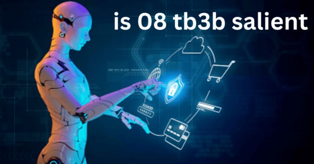 What is 08 TB3B Salient