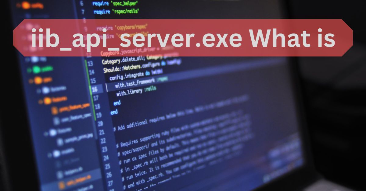 iib_api_server.exe What is
