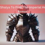 Where On Shaiya To Find The Imperial Heavy Scale Armor-A Guide